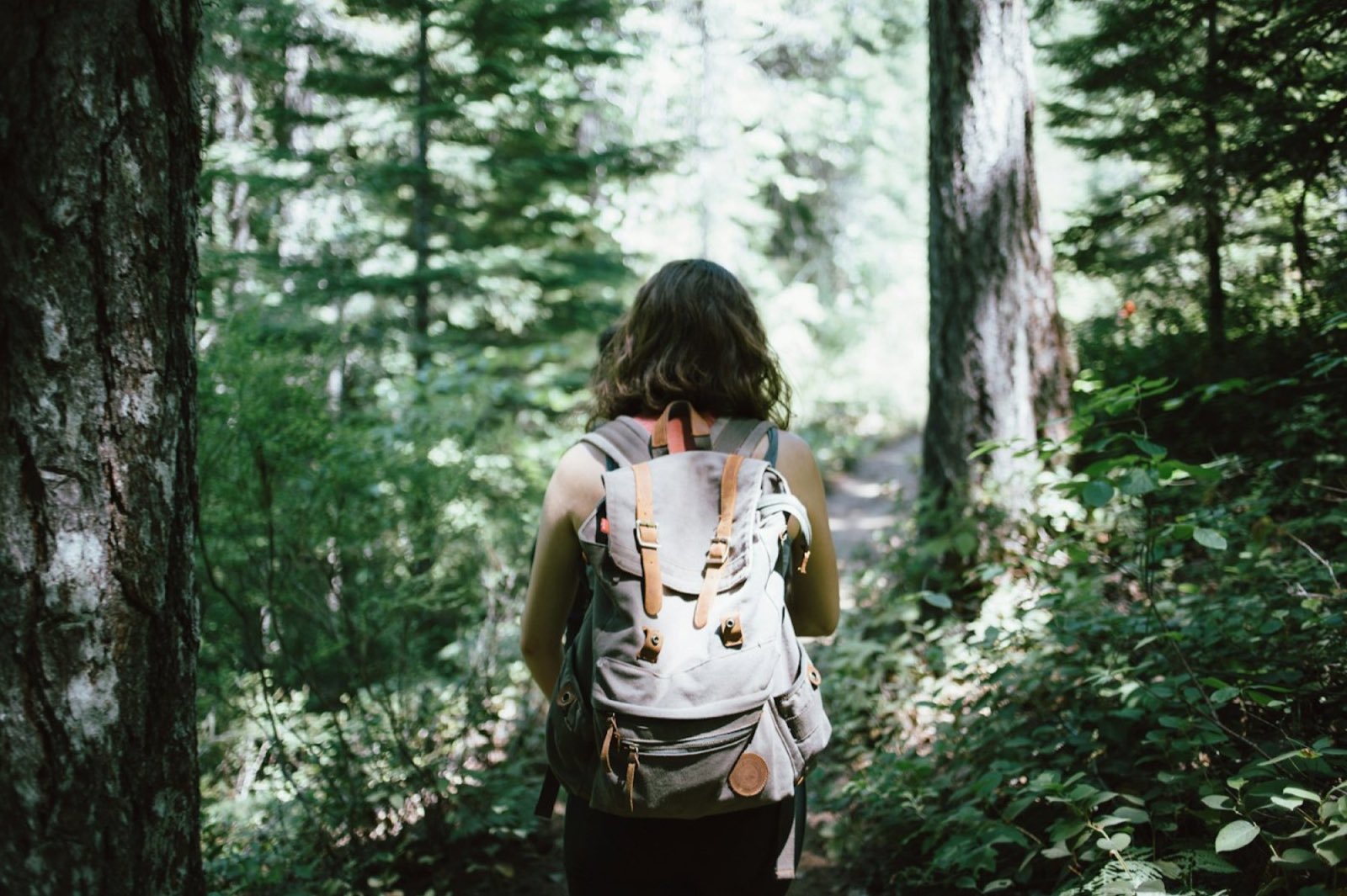 Frau wandert durch den Wald